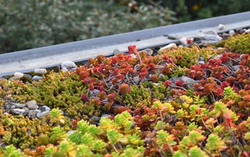 the cost of Dudwells green roof installation