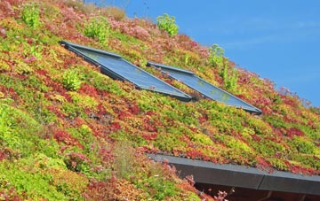 Dudwells living roof systems