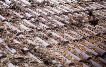 Dudwells roof cleaning companies