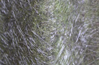 Dudwells fibreglass roof work