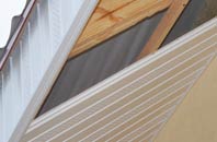 rated Dudwells soffit repair companies